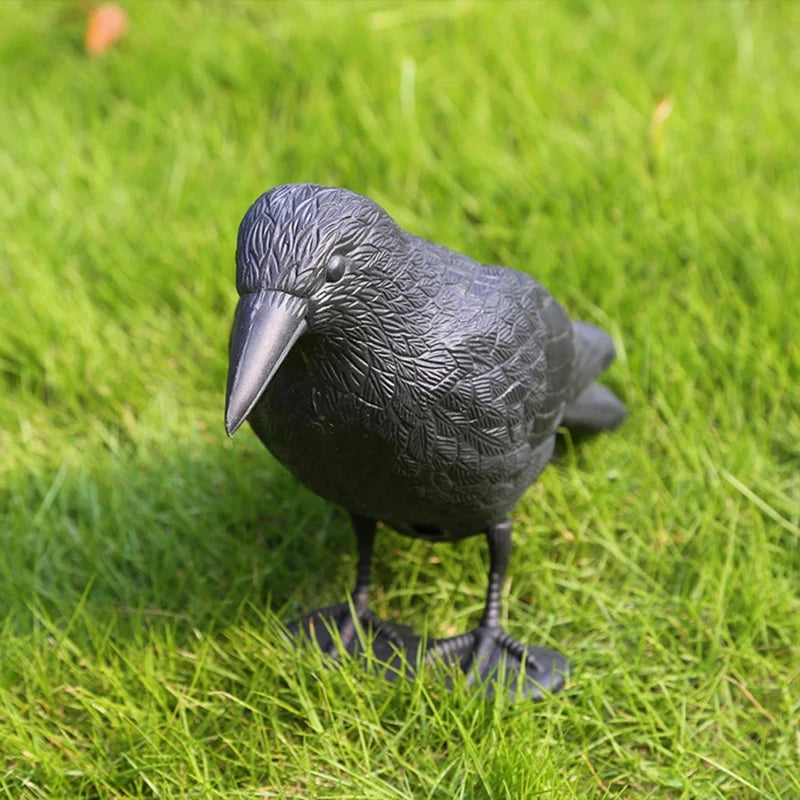 Realistic Black Crow Deterrent