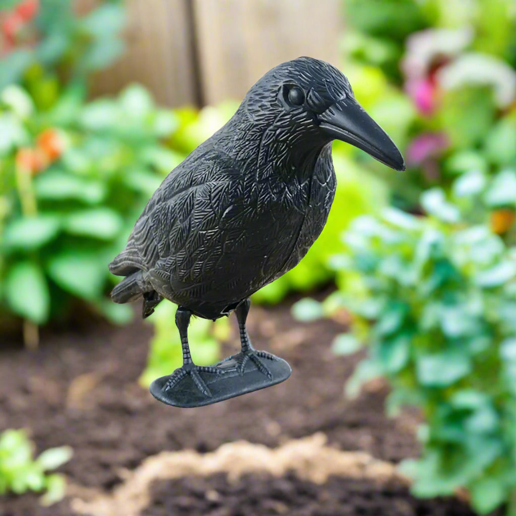 Realistic Black Crow Deterrent