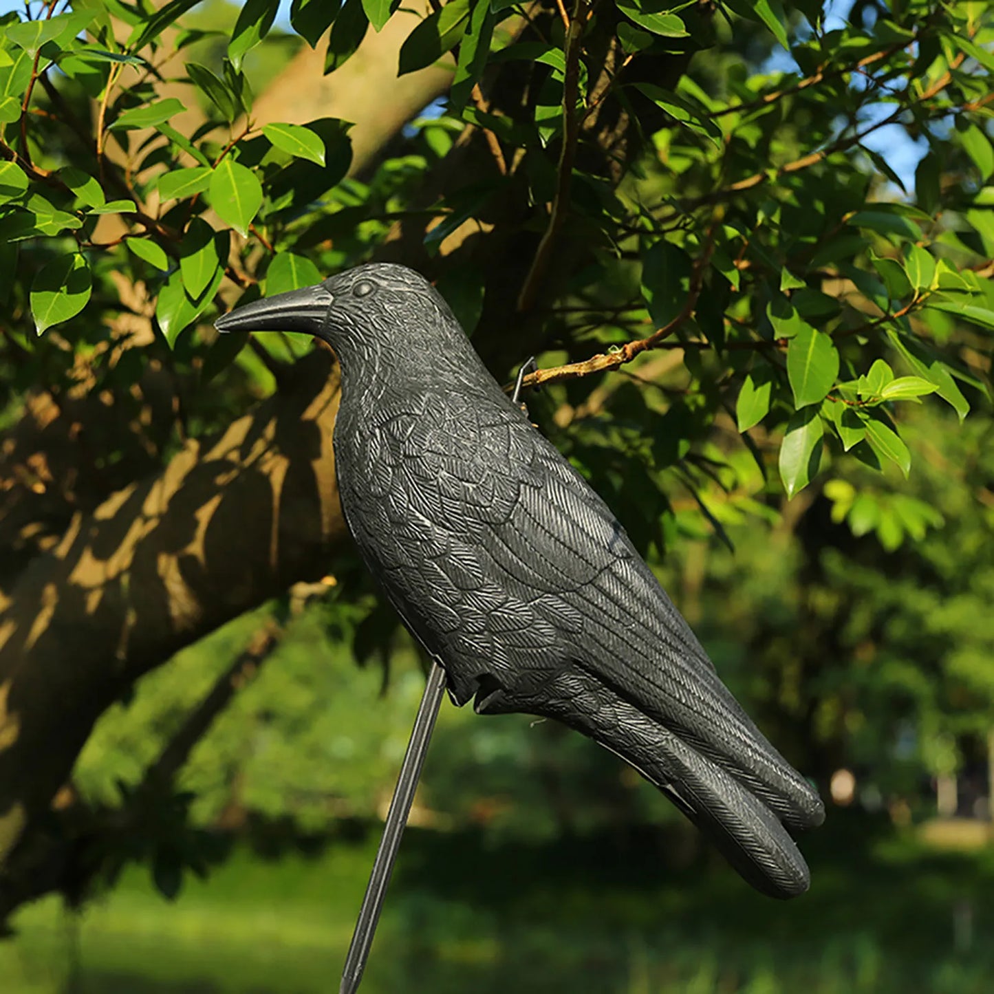 Realistic Black Crow Deterrent