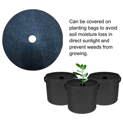 Mulch Ring Root Protector